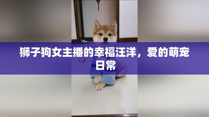 獅子狗女主播的幸福汪洋，愛的萌寵日常