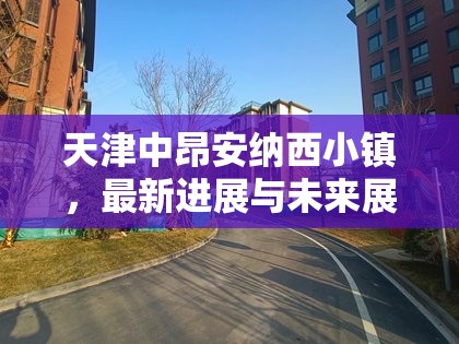 天津中昂安納西小鎮(zhèn)，最新進(jìn)展與未來展望