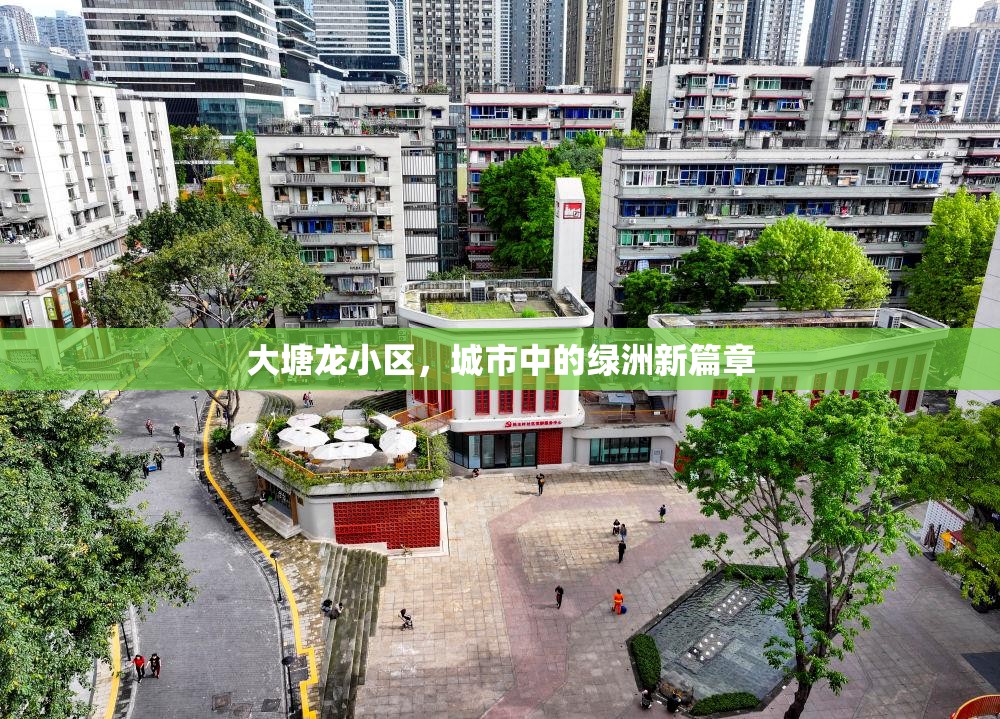 大塘龍小區(qū)，城市中的綠洲新篇章