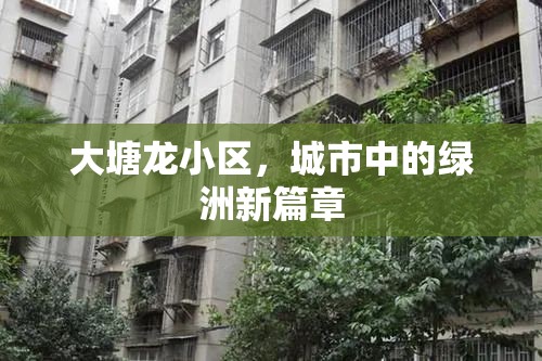 大塘龍小區(qū)，城市中的綠洲新篇章