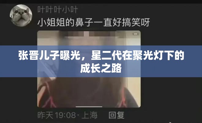 張晉兒子曝光，星二代在聚光燈下的成長之路