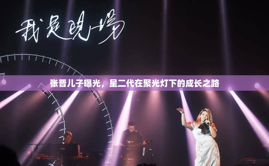 張晉兒子曝光，星二代在聚光燈下的成長之路