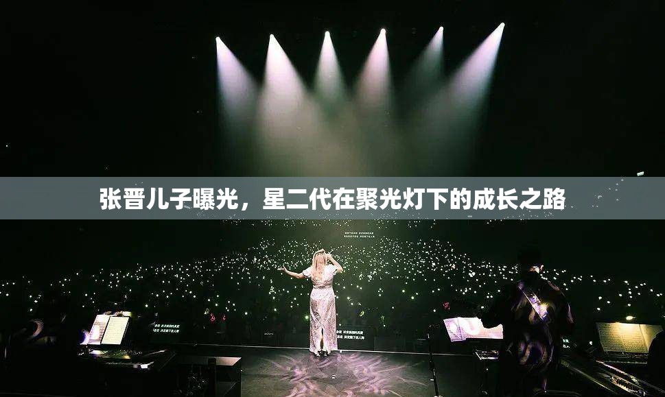 張晉兒子曝光，星二代在聚光燈下的成長之路