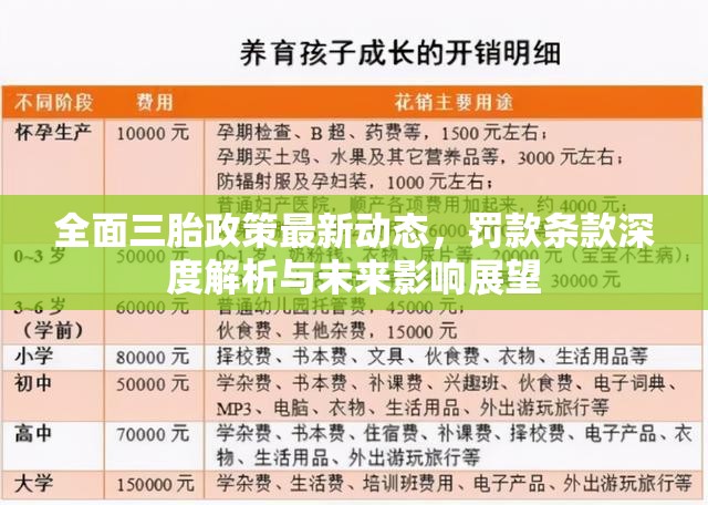 全面三胎政策最新動態(tài)，罰款條款深度解析與未來影響展望