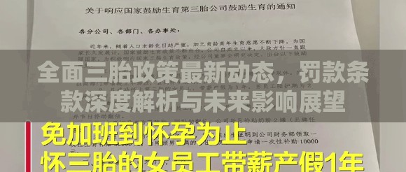 全面三胎政策最新動態(tài)，罰款條款深度解析與未來影響展望