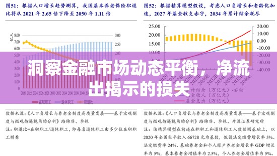 洞察金融市場動態(tài)平衡，凈流出揭示的損失