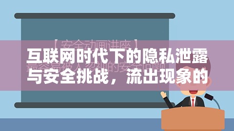 互聯(lián)網時代下的隱私泄露與安全挑戰(zhàn)，流出現象的警示