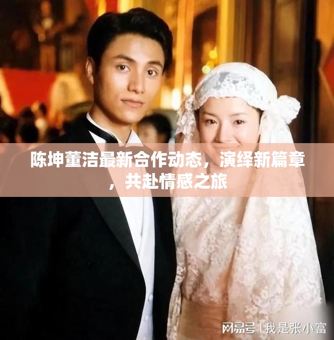 陳坤董潔最新合作動(dòng)態(tài)，演繹新篇章，共赴情感之旅