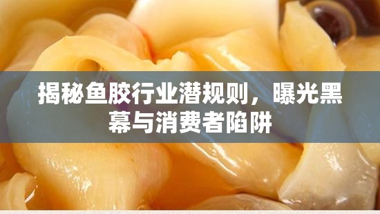 揭秘魚膠行業(yè)潛規(guī)則，曝光黑幕與消費者陷阱