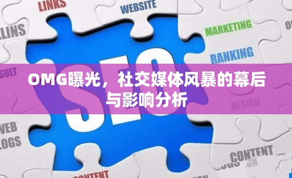 OMG曝光，社交媒體風(fēng)暴的幕后與影響分析