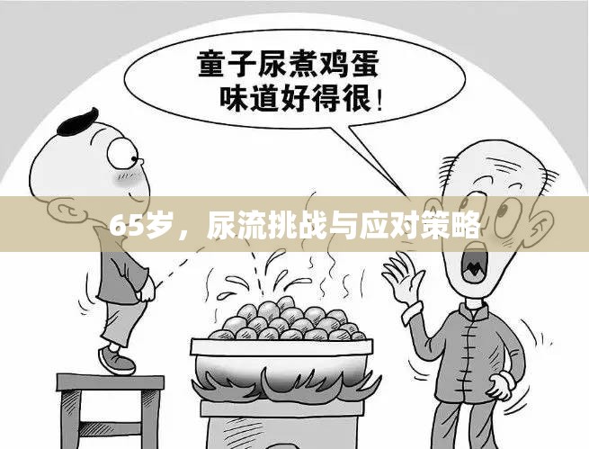 65歲，尿流挑戰(zhàn)與應(yīng)對策略