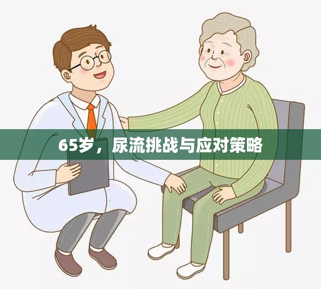65歲，尿流挑戰(zhàn)與應(yīng)對策略
