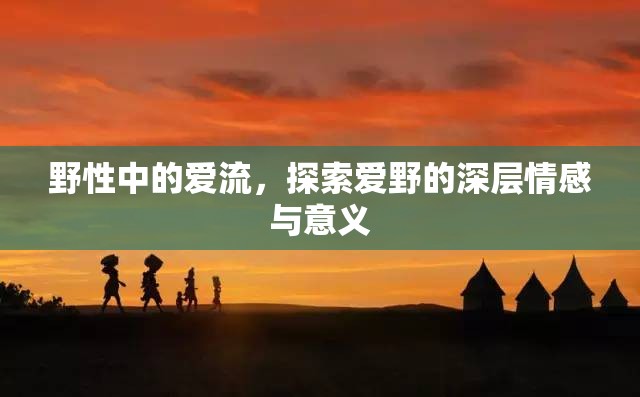 野性中的愛(ài)流，探索愛(ài)野的深層情感與意義