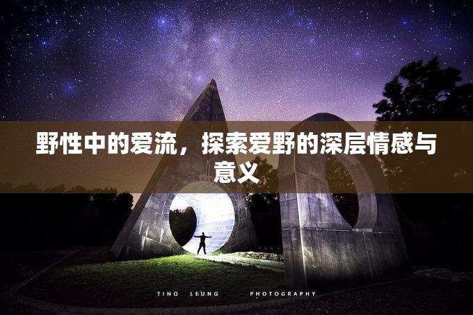 野性中的愛(ài)流，探索愛(ài)野的深層情感與意義