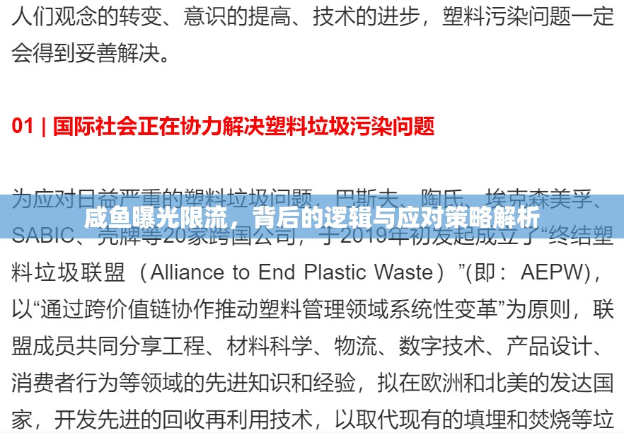 咸魚曝光限流，背后的邏輯與應(yīng)對策略解析