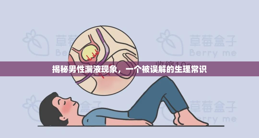 揭秘男性漏液現(xiàn)象，一個(gè)被誤解的生理常識(shí)