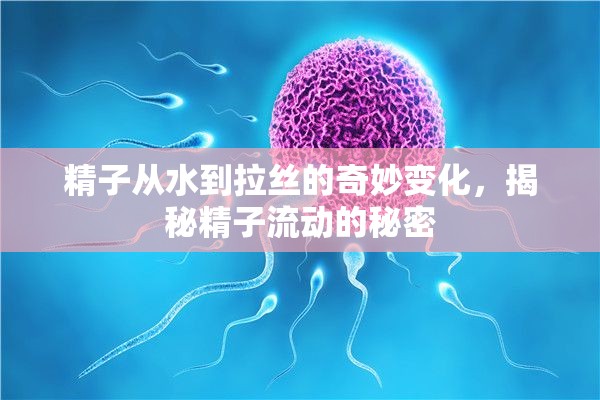 精子從水到拉絲的奇妙變化，揭秘精子流動(dòng)的秘密