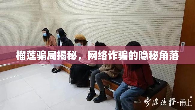 榴蓮騙局揭秘，網(wǎng)絡(luò)詐騙的隱秘角落