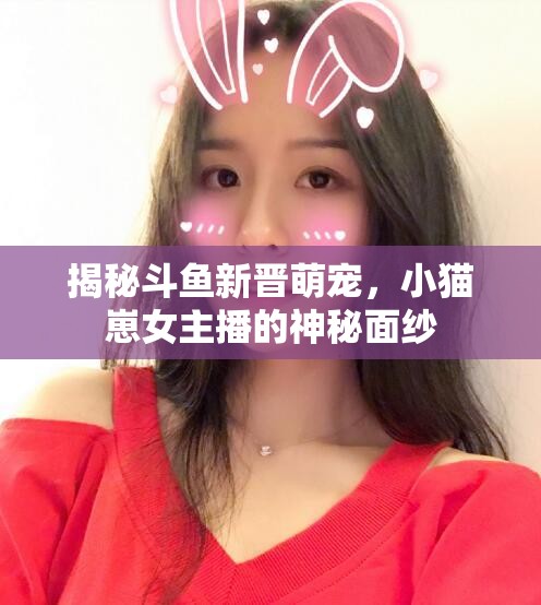 揭秘斗魚新晉萌寵，小貓崽女主播的神秘面紗