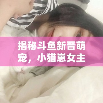 揭秘斗魚新晉萌寵，小貓崽女主播的神秘面紗