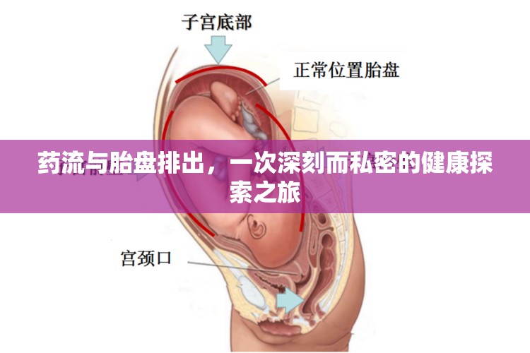 藥流與胎盤排出，一次深刻而私密的健康探索之旅