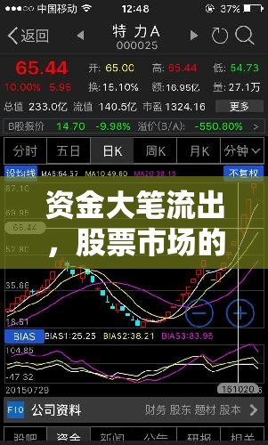 資金大筆流出，股票市場的隱形警鐘