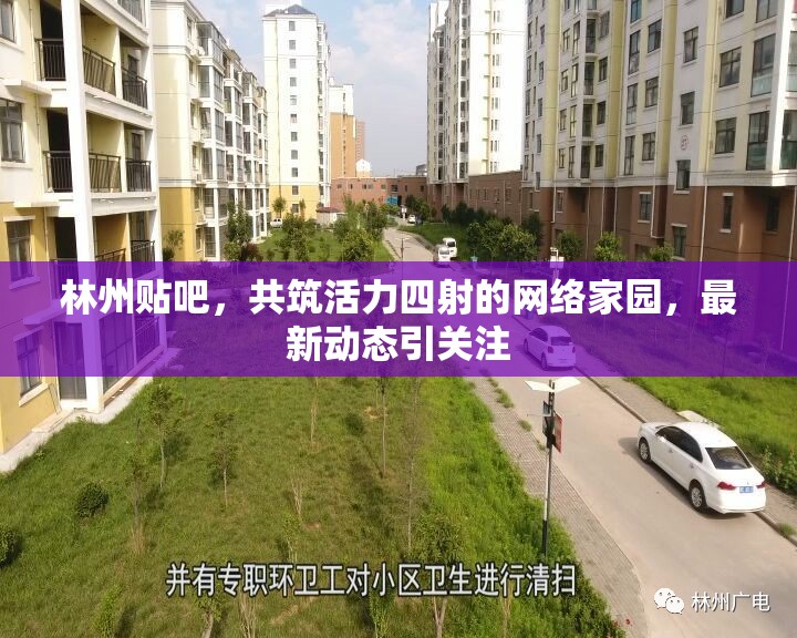 林州貼吧，共筑活力四射的網(wǎng)絡(luò)家園，最新動態(tài)引關(guān)注