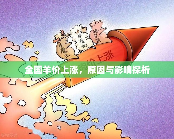 全國羊價上漲，原因與影響探析