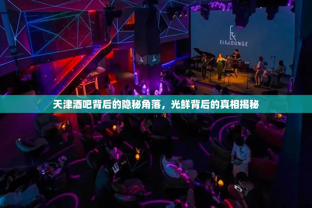 天津酒吧背后的隱秘角落，光鮮背后的真相揭秘