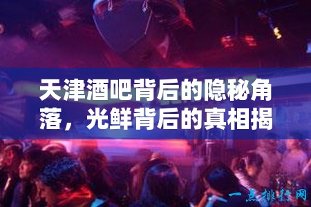 天津酒吧背后的隱秘角落，光鮮背后的真相揭秘
