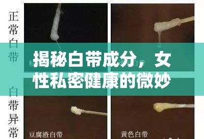 揭秘白帶成分，女性私密健康的微妙密碼