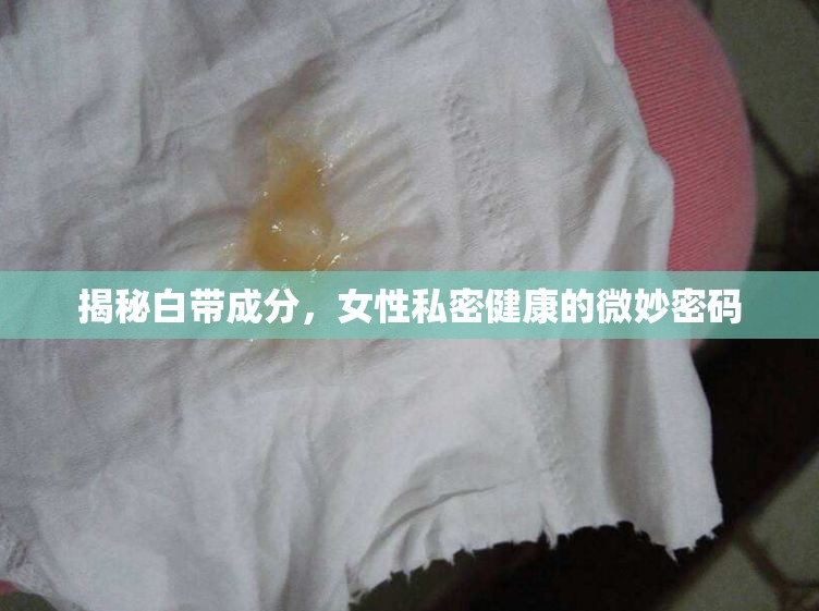 揭秘白帶成分，女性私密健康的微妙密碼