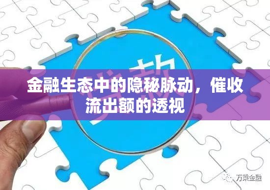 金融生態(tài)中的隱秘脈動(dòng)，催收流出額的透視
