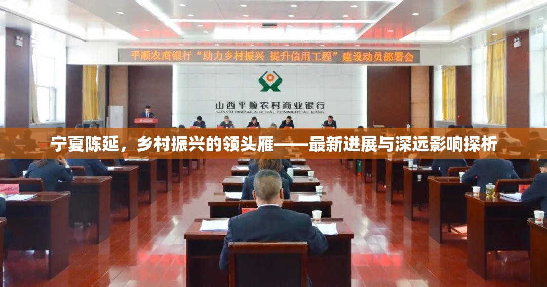 寧夏陳延，鄉(xiāng)村振興的領(lǐng)頭雁——最新進展與深遠影響探析
