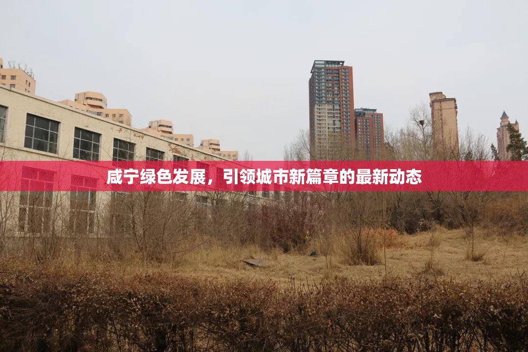 咸寧綠色發(fā)展，引領(lǐng)城市新篇章的最新動態(tài)