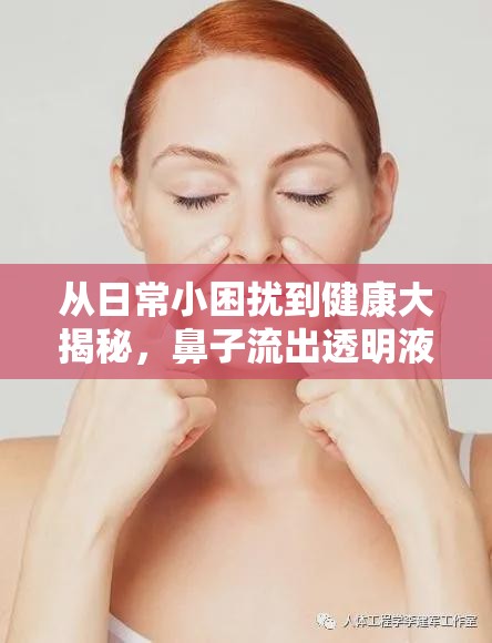 從日常小困擾到健康大揭秘，鼻子流出透明液體的神秘之旅