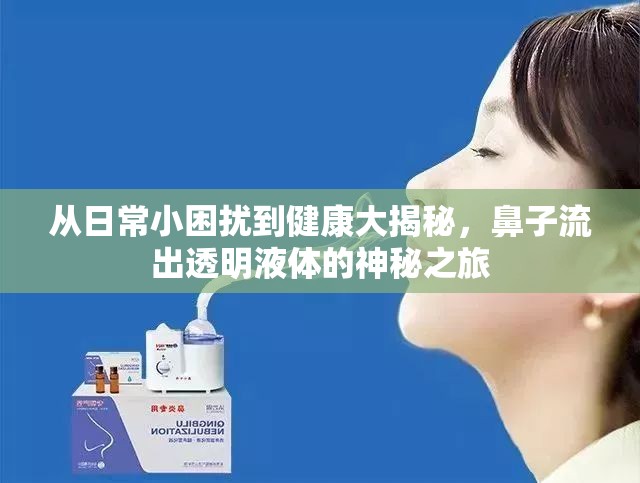 從日常小困擾到健康大揭秘，鼻子流出透明液體的神秘之旅