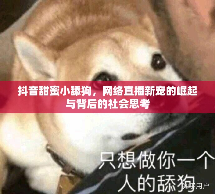 抖音甜蜜小舔狗，網(wǎng)絡(luò)直播新寵的崛起與背后的社會思考