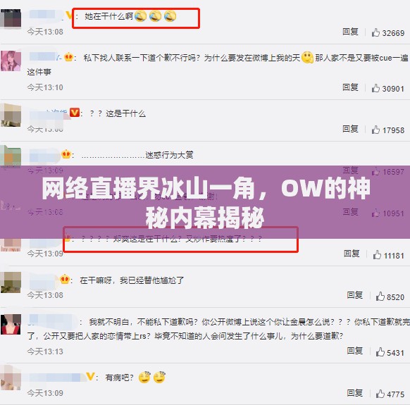 網(wǎng)絡(luò)直播界冰山一角，OW的神秘內(nèi)幕揭秘