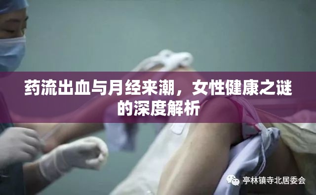 藥流出血與月經(jīng)來潮，女性健康之謎的深度解析