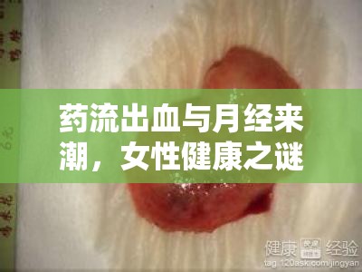 藥流出血與月經(jīng)來潮，女性健康之謎的深度解析
