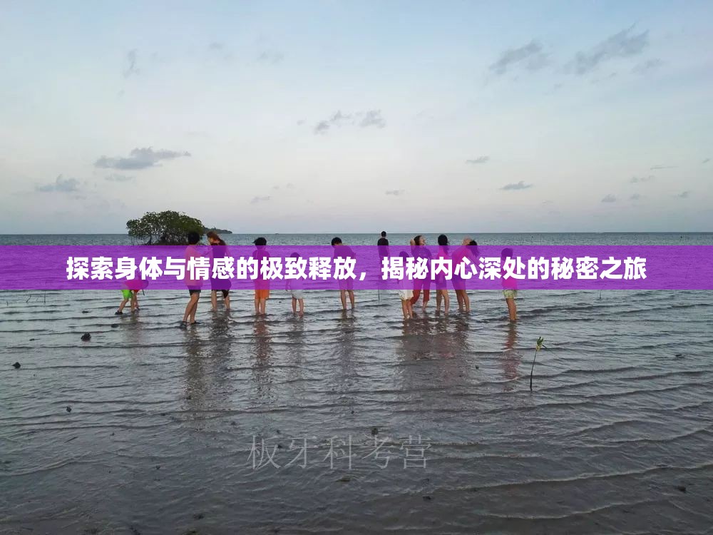 探索身體與情感的極致釋放，揭秘內(nèi)心深處的秘密之旅