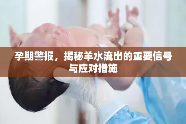 孕期警報(bào)，揭秘羊水流出的重要信號(hào)與應(yīng)對(duì)措施