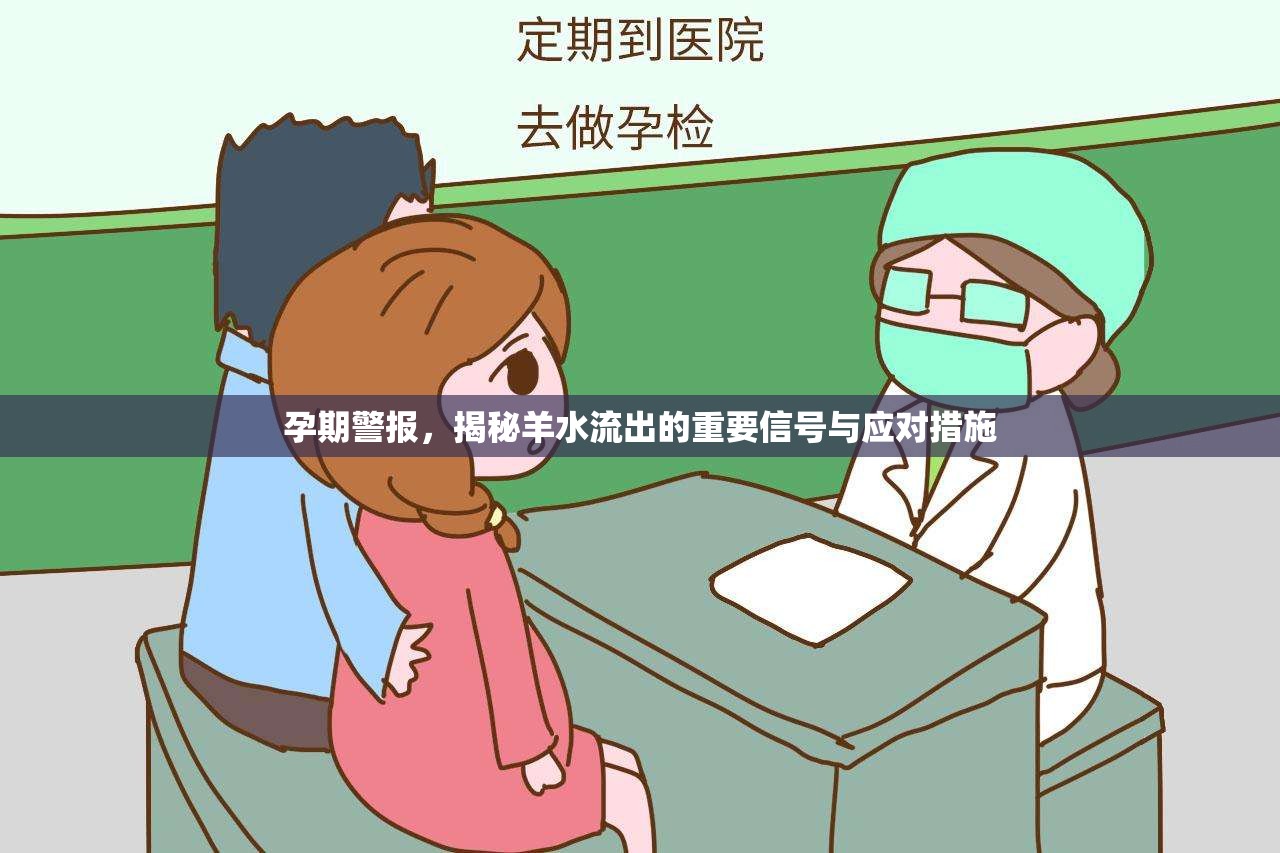 孕期警報(bào)，揭秘羊水流出的重要信號(hào)與應(yīng)對(duì)措施