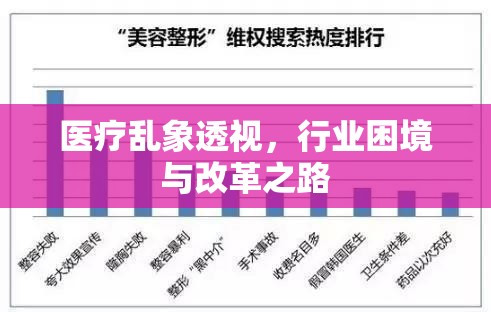 醫(yī)療亂象透視，行業(yè)困境與改革之路