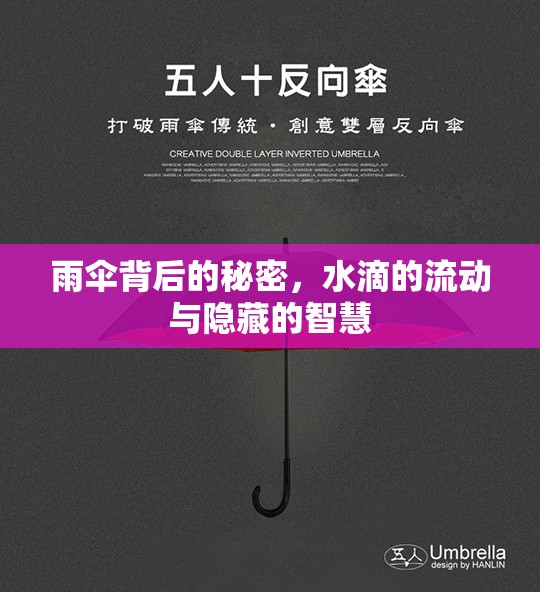 雨傘背后的秘密，水滴的流動與隱藏的智慧