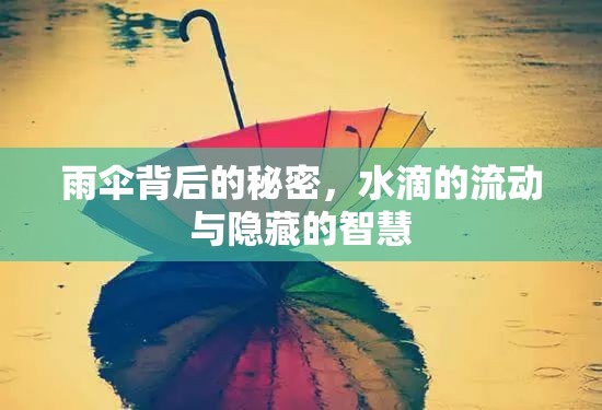 雨傘背后的秘密，水滴的流動與隱藏的智慧