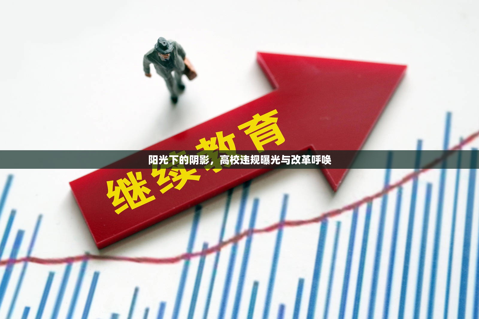 陽光下的陰影，高校違規(guī)曝光與改革呼喚