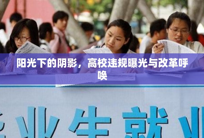 陽光下的陰影，高校違規(guī)曝光與改革呼喚