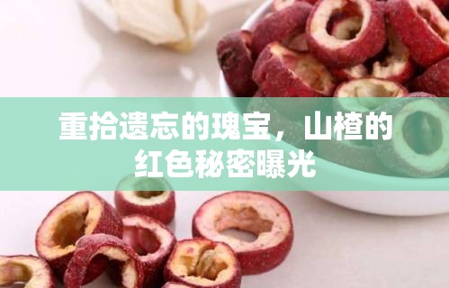 重拾遺忘的瑰寶，山楂的紅色秘密曝光